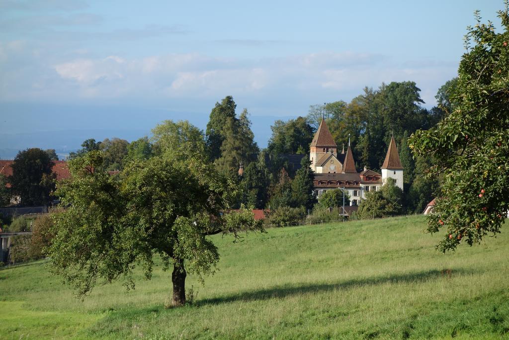 Schloss Muenchenwiler Murten Zewnętrze zdjęcie